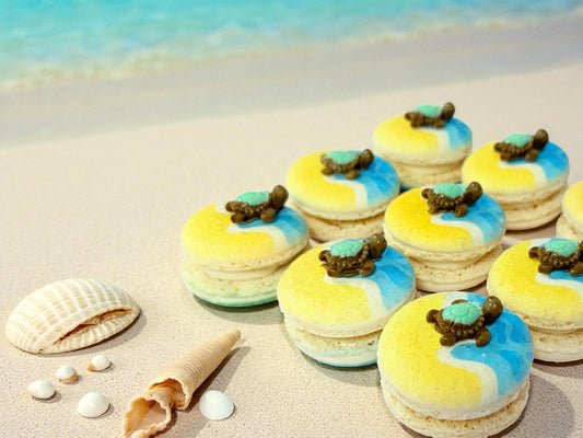 Turtle by the Shore French Macarons
