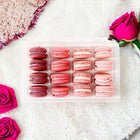 Ombre Pink Macaron Collection